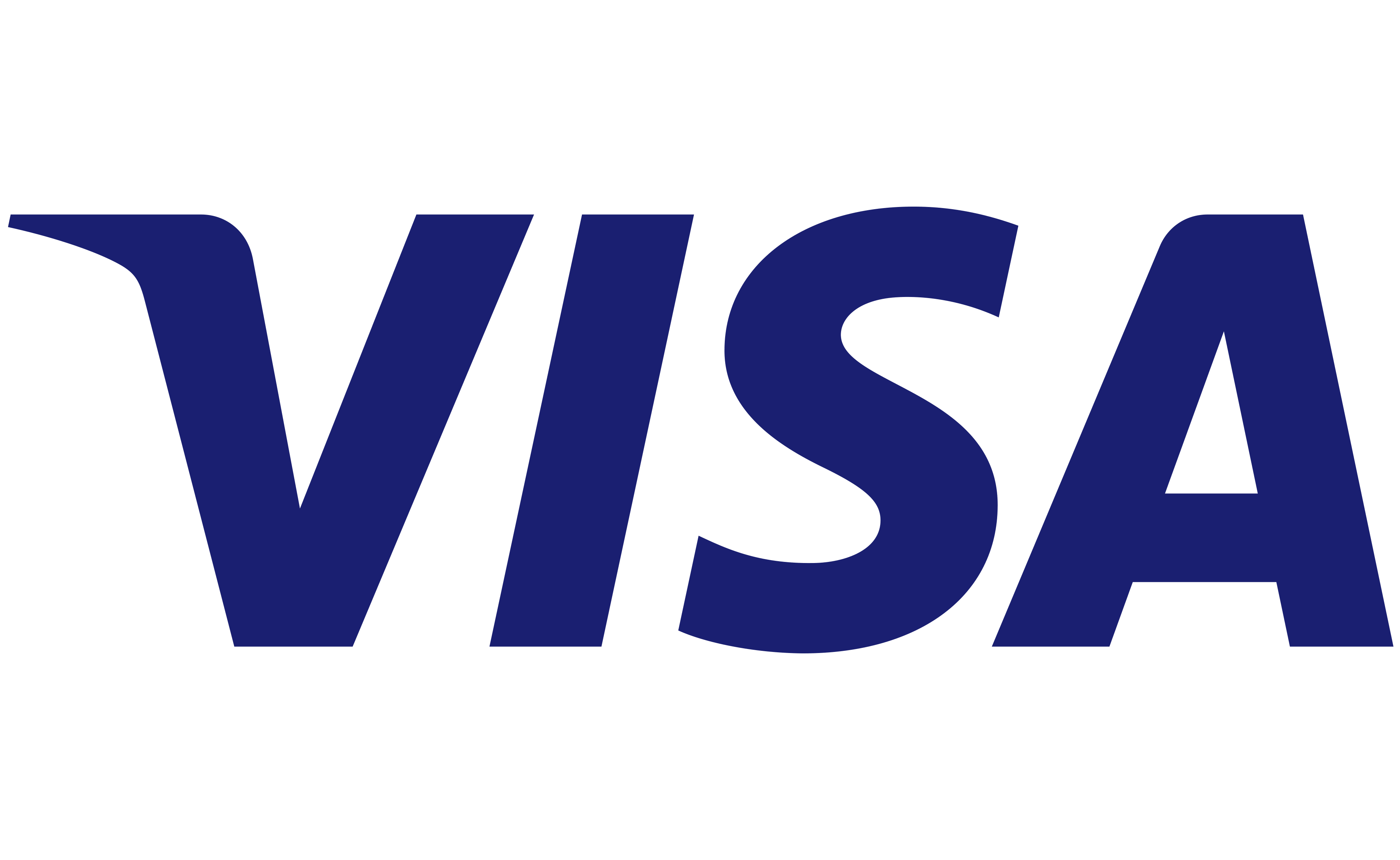 Logo Visa Imagen de muestra
