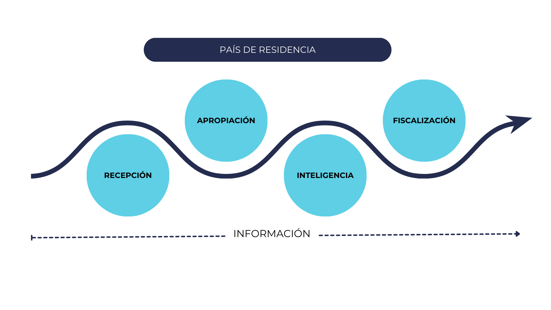 Esquema del proceso al que se somete la información recibida del exterior bajo la modalidad de intercambio automático